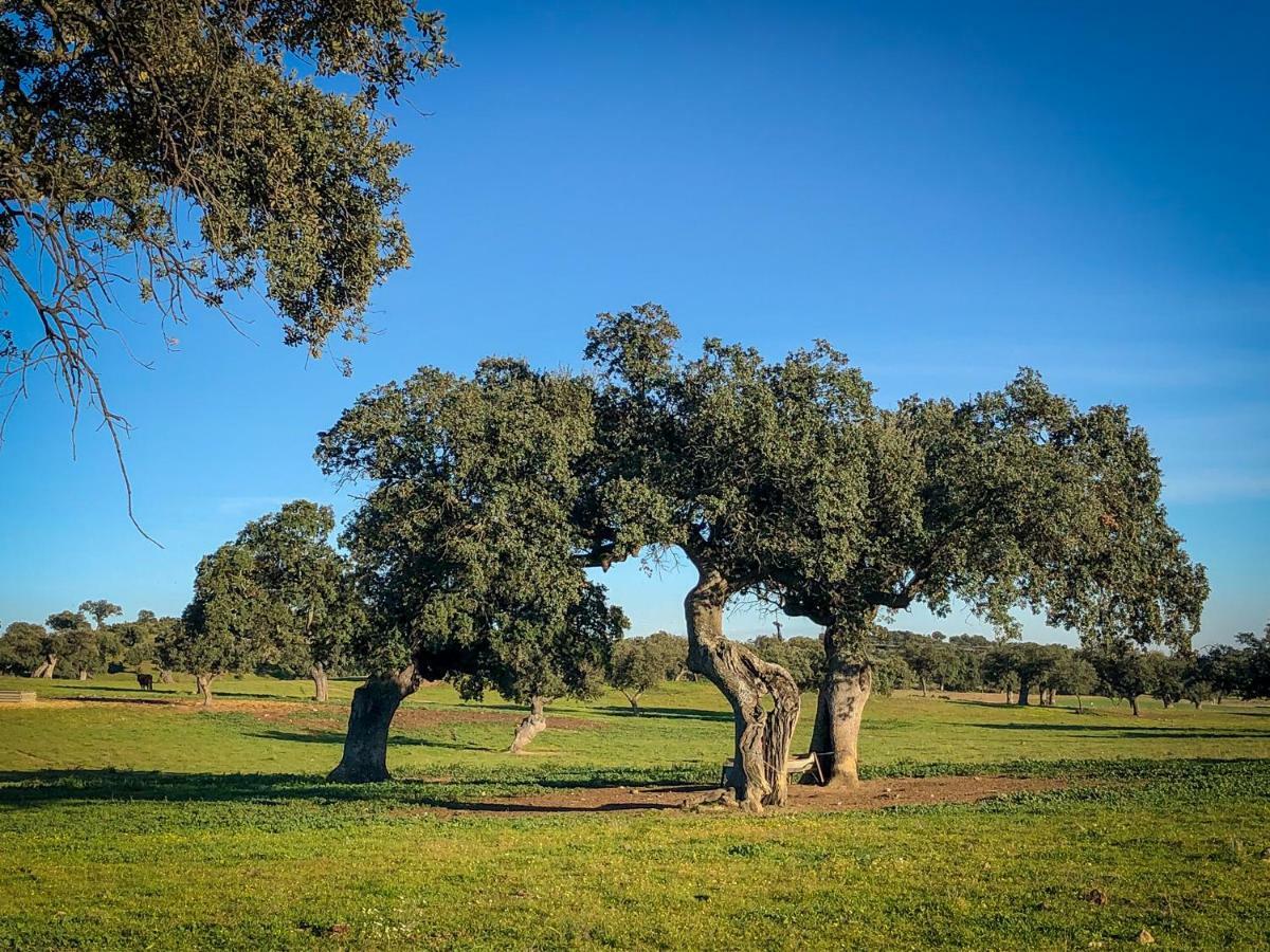 La Hermandad De Villalba Villalba de los Barros Kültér fotó