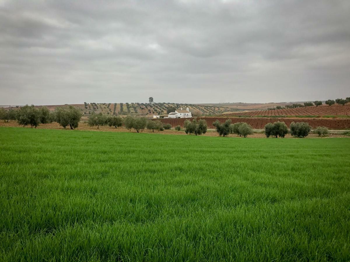La Hermandad De Villalba Villalba de los Barros Kültér fotó